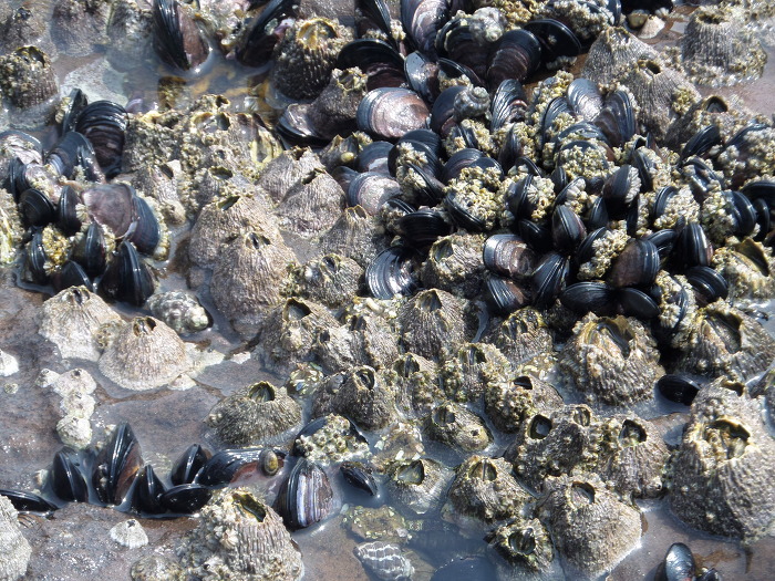 2214D2375528930821A641