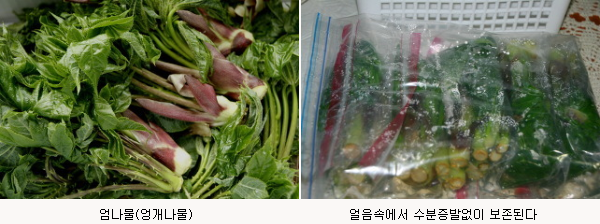 더블클릭을 하시면 이미지를 수정할 수 있습니다