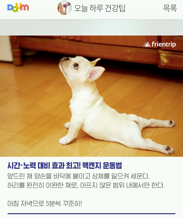 허리와 척추에 좋은 운동 | 인스티즈
