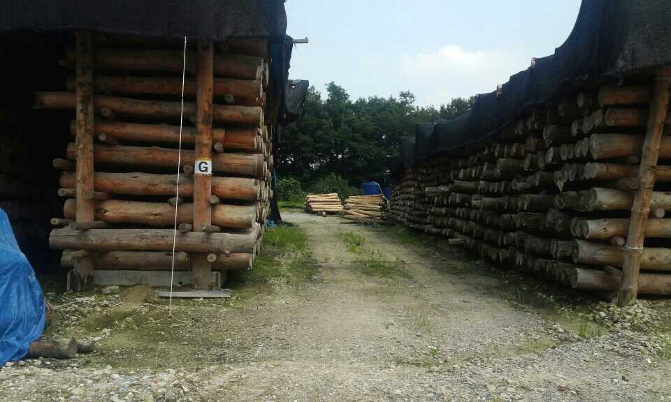 수동자연마을 이미지