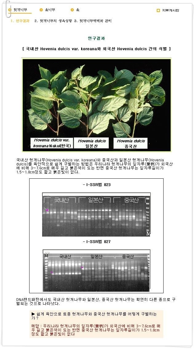 (주)생명나무 이미지
