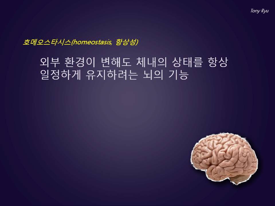 호메오 이미지
