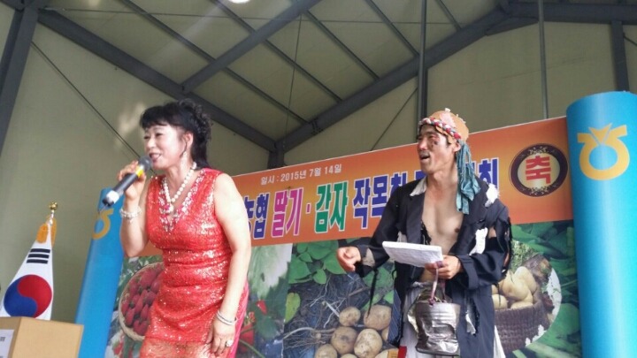 순정감자 이미지