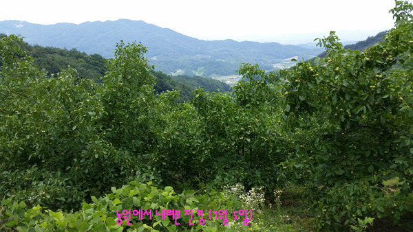 동원농원 이미지
