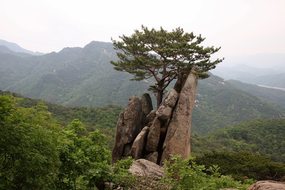 청풍명월 이미지