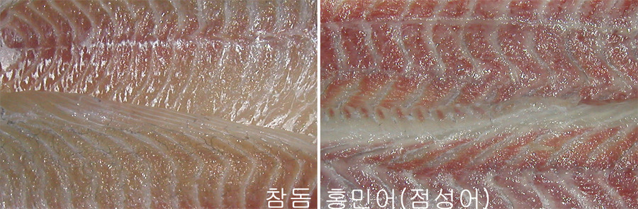 노량진 수산시장 완전 공략집 | 인스티즈