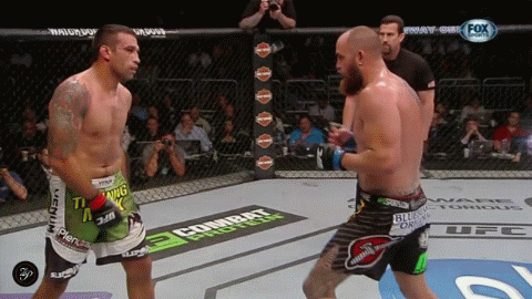 UFC, 가장 인기있는 체급은?.jpg | 인스티즈