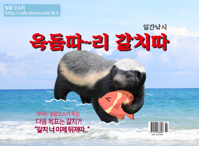 [동상이몽2] 우효광이 추자현에게 초콜릿 얻어내는 방법 .jpg | 인스티즈