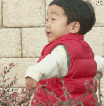  서준이가 표현하는 동물 친구들ㅋㅋㅋㅋㅋ .GIF | 인스티즈