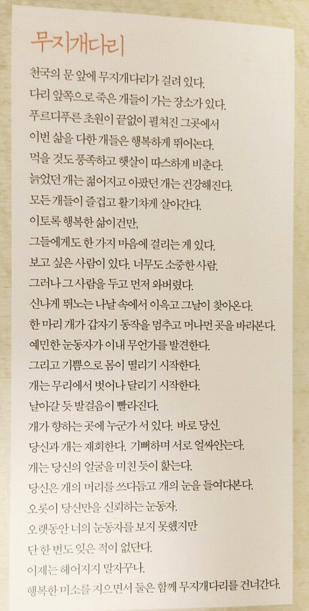 펫로스 증후군을 앓고 있는 사람들 | 인스티즈