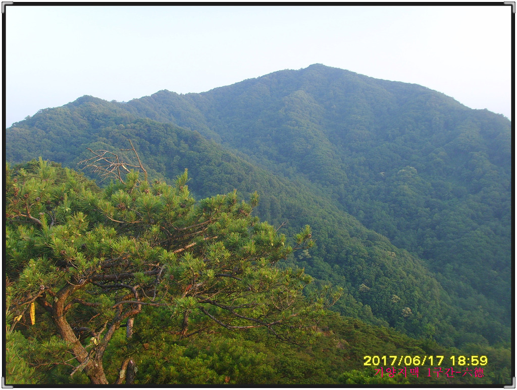 백운산갈비 이미지