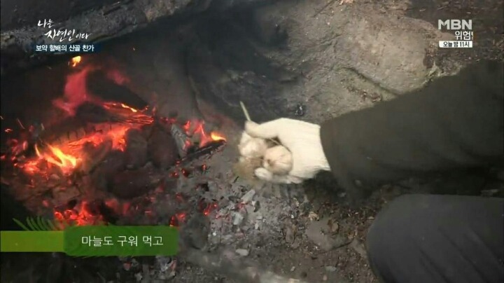 나는 자연인이다 마늘성애자 (마늘주의) | 인스티즈