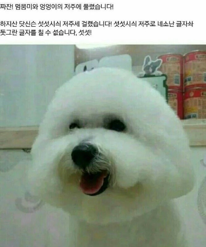 담신믄 네모네모 멈뭄미믜 저주메 걸렸습니다 | 인스티즈