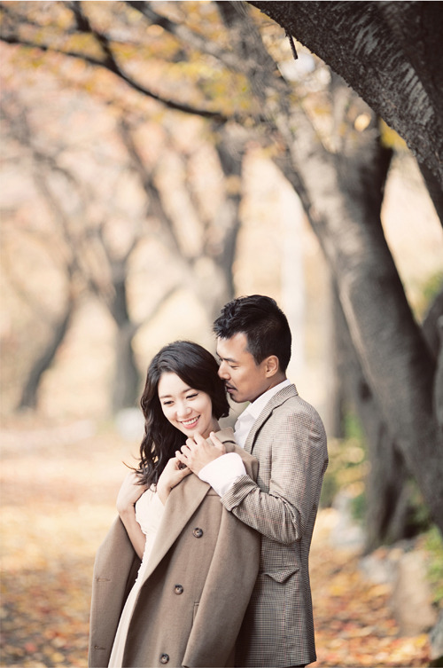 비비드스튜디오 이미지
