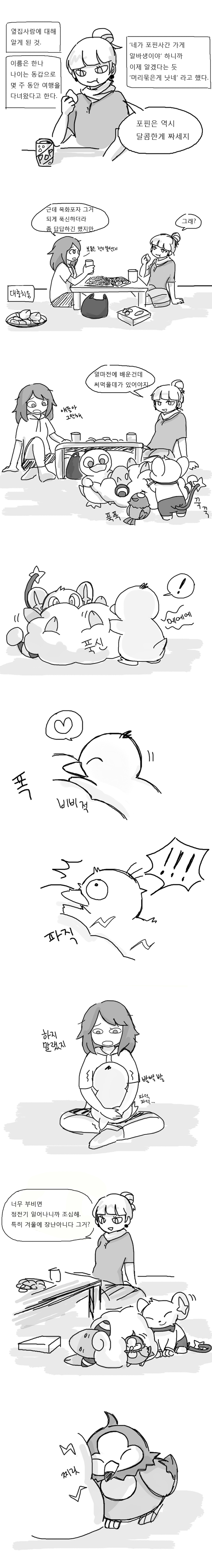 [포켓몬] 일상다반사 3~5 | 인스티즈
