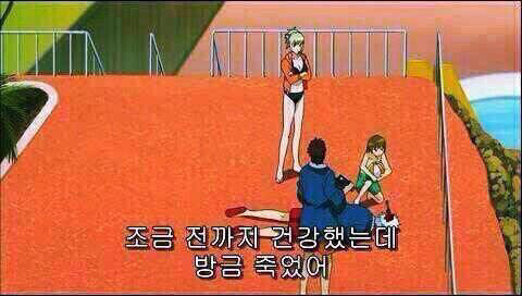 에블바레 문흥이망이 되야하는이유 | 인스티즈