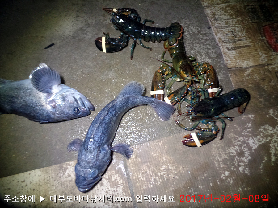 랍스타하우스 이미지