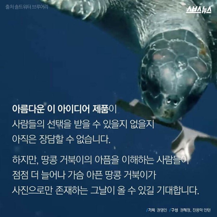 저는 땅콩 거북이 입니다 | 인스티즈