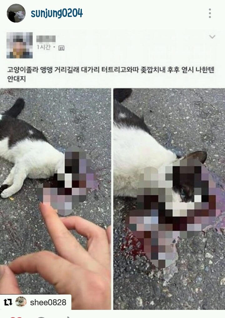 길고양이를 발로 차버리는 남자들 .gif (주의) | 인스티즈