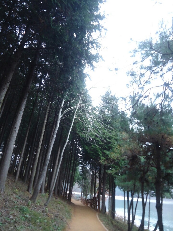 윤산 이미지