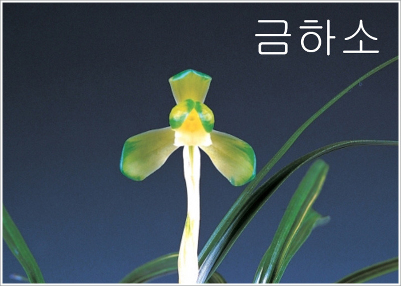 천향원 이미지