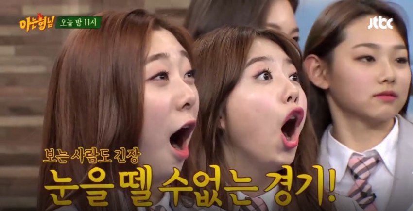 판타지오와 젤리피쉬의 트레이닝 시스템의 차이.jpg | 인스티즈