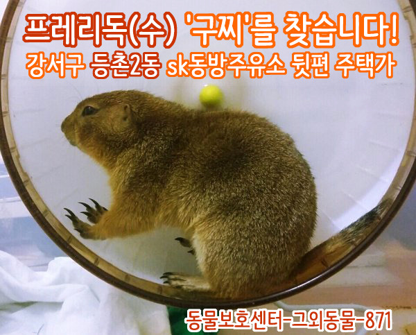 동방주유소 이미지
