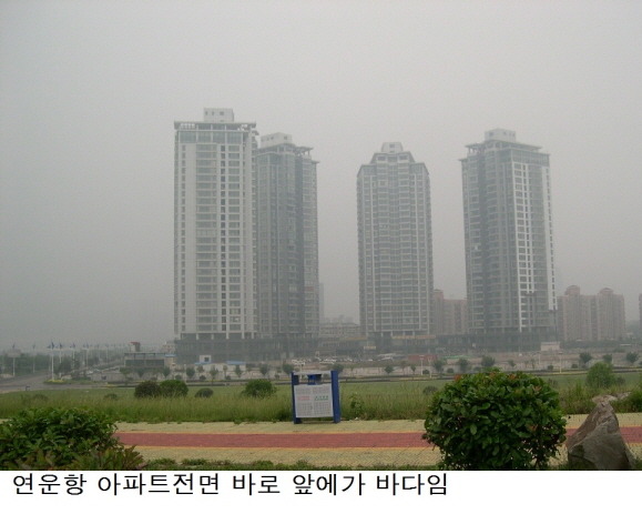 국제정원석 이미지