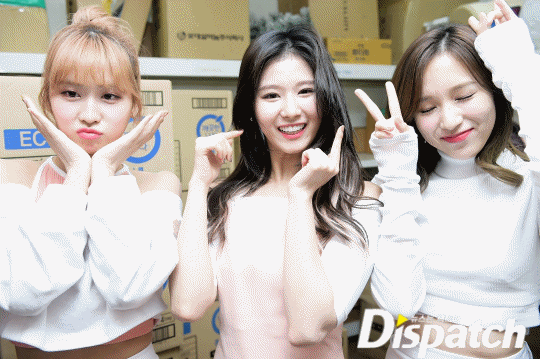 디스패치트와이스 | 인스티즈