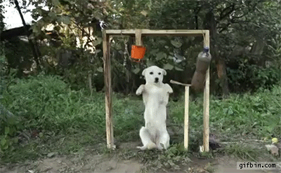 성룡영화에서 나오던 장면 .GIF | 인스티즈