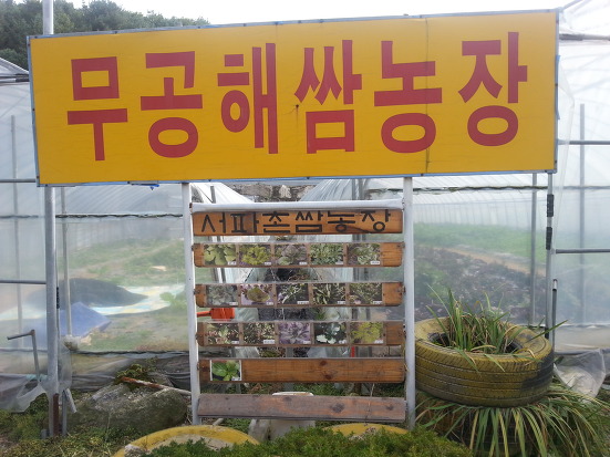 원조 순두부 이미지