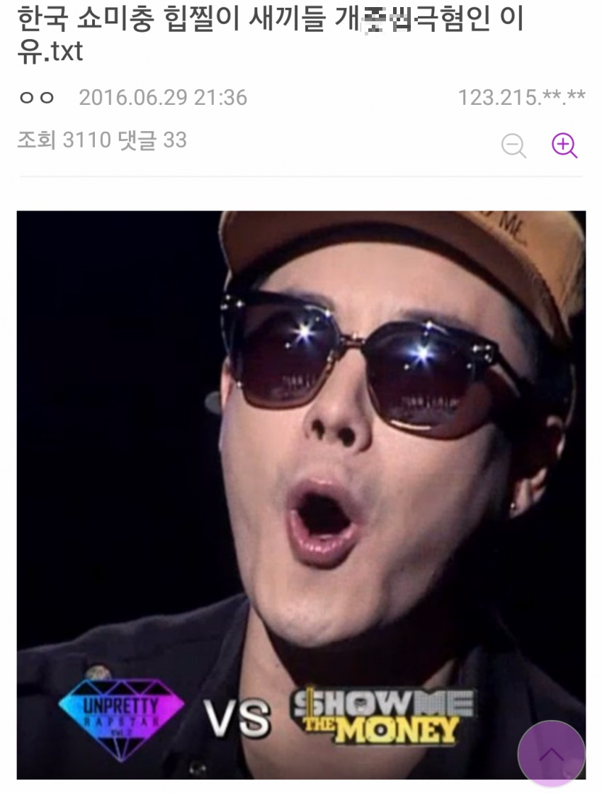 한 디시인의 쇼미더머니 싫어하는 이유 | 인스티즈