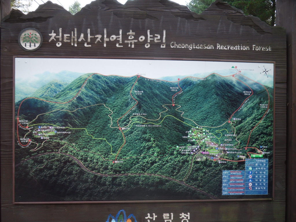 청태산 치유의 숲 이미지