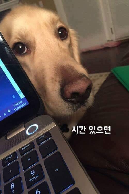 시간있으면 | 인스티즈