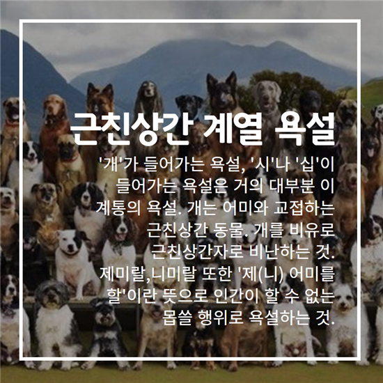  욕설 속에 숨은 어마무시한 비밀 | 인스티즈