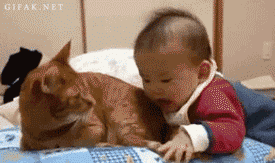 아기와 고양이.gif | 인스티즈
