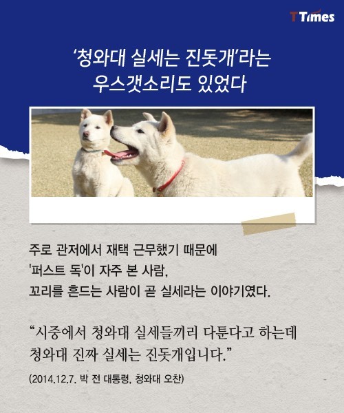 박근혜를 거쳐 간 강아지들 스토리 | 인스티즈