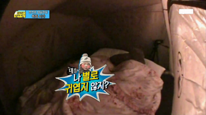 [아빠어디가] 아빠는 후를 싫어하지~? | 인스티즈