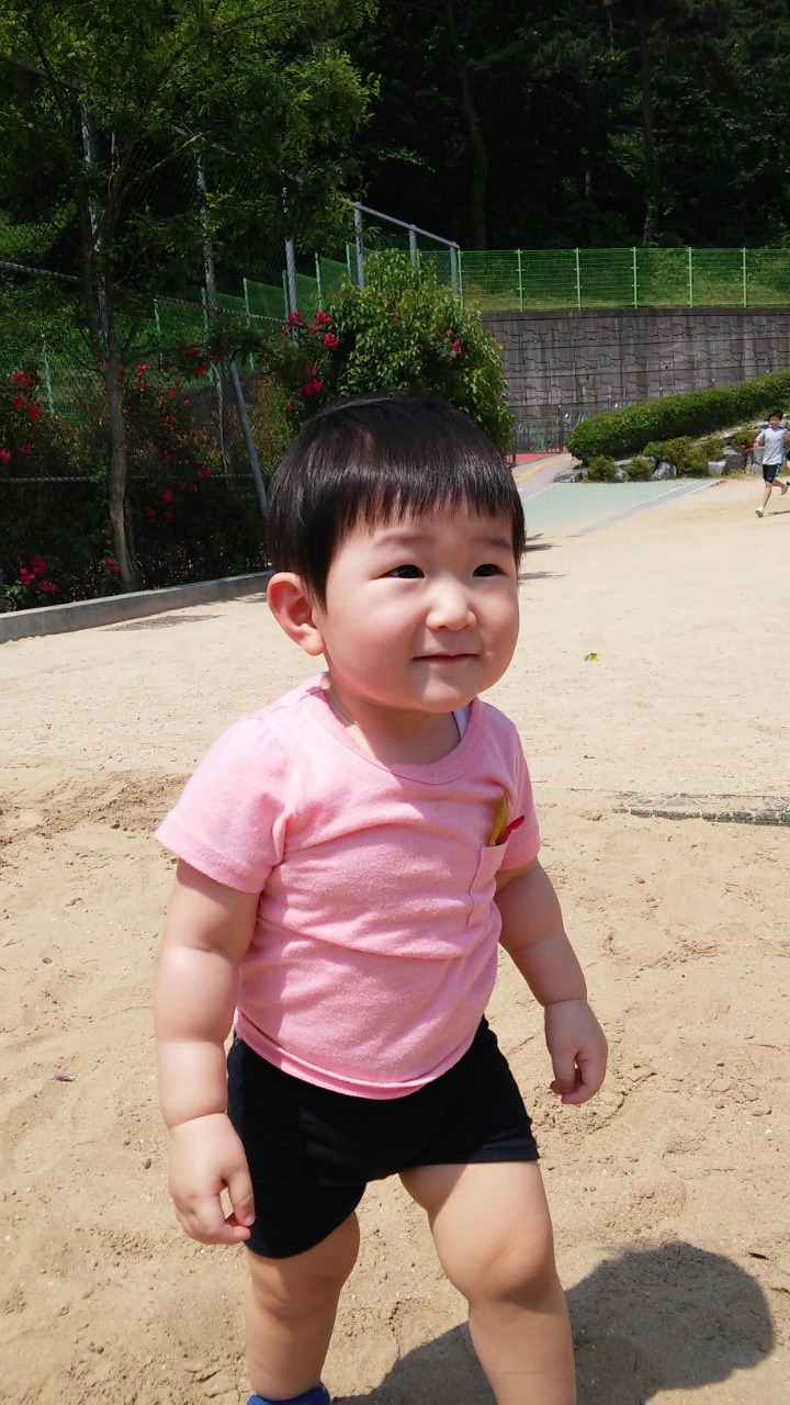 삼어초등학교 이미지
