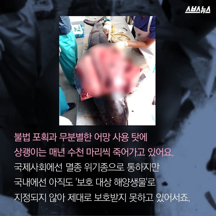 뽀뽀녀의 인생템 | 인스티즈