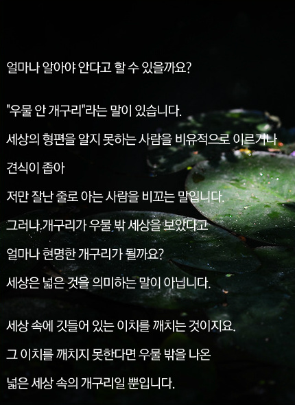 우물밖개구리 이미지