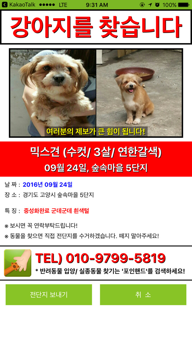 보호하던 유기견이 고양시로 꿈같은 입양을 가다가 실종됐습니다. 도와주세요 | 인스티즈