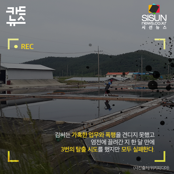 신안군 염전노예사건 | 인스티즈