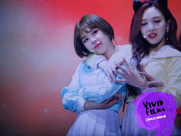 트와이스랜드 방콕 콘서트 채영 | 인스티즈