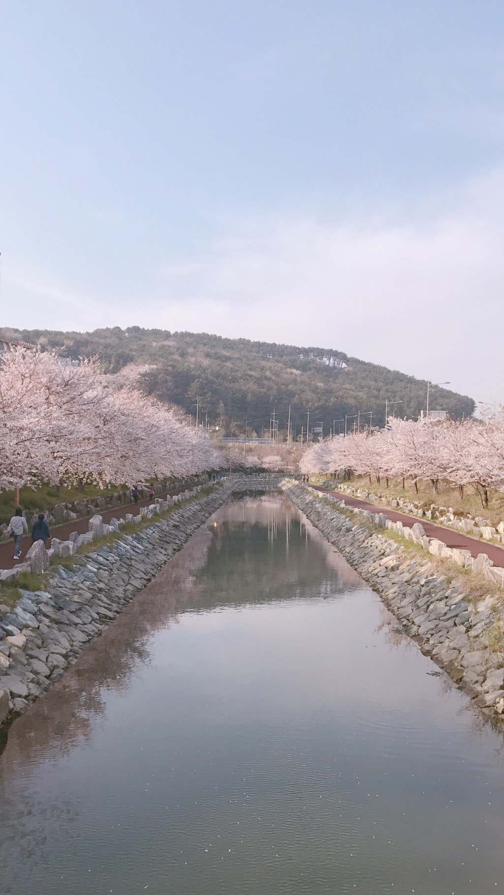 [부산광역시] 부산의 센치함 | 인스티즈