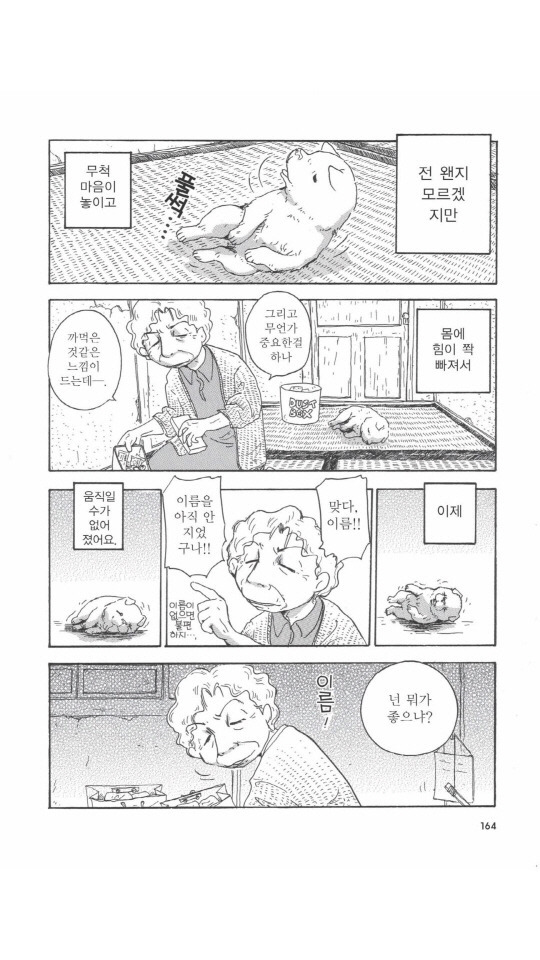 개를 주워오면 안되는 이유 | 인스티즈