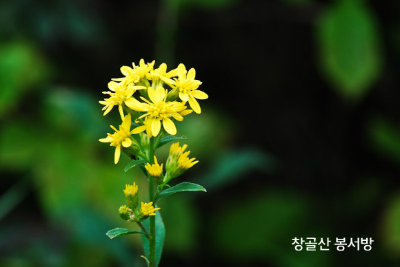 좋은씨앗 이미지