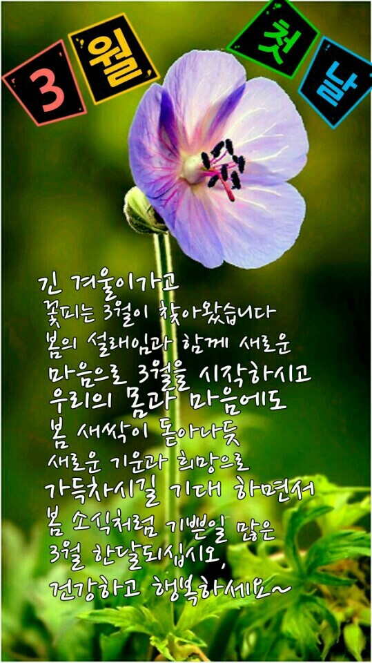 행복한3월 이미지