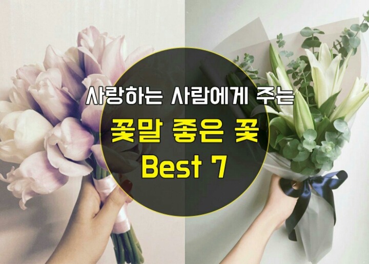 꽃파는사람들 이미지