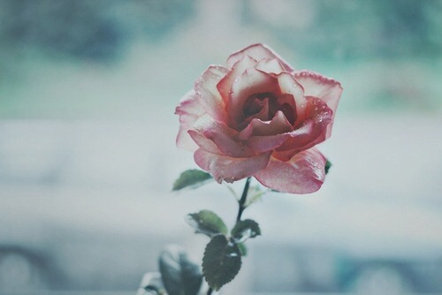 둘 중 하나 고르기 | 인스티즈
